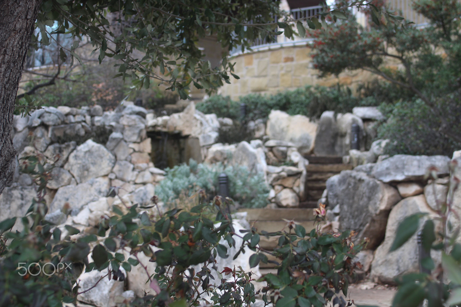Canon EF 35-80mm f/4-5.6 sample photo. Img photography
