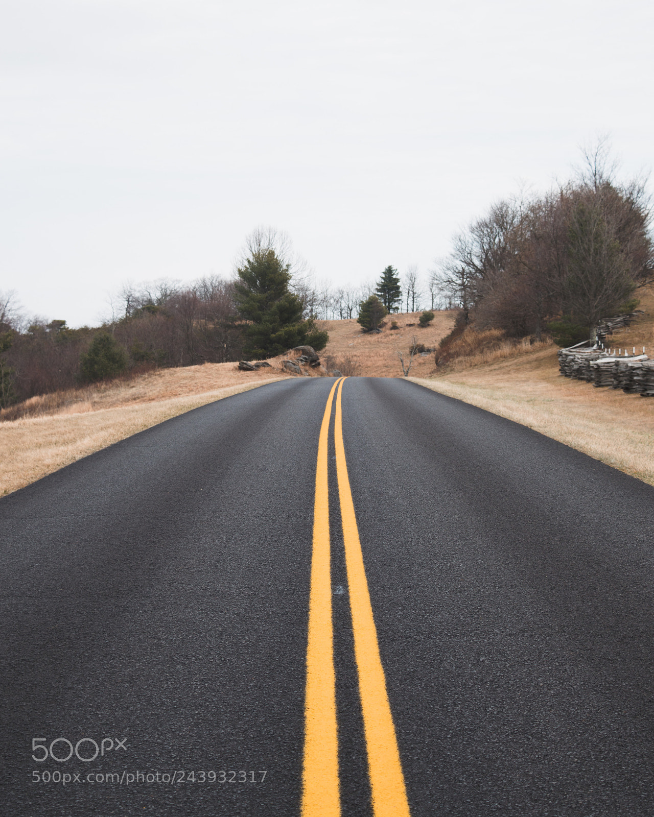 Nikon D3200 sample photo. Blue ridge parkway photography