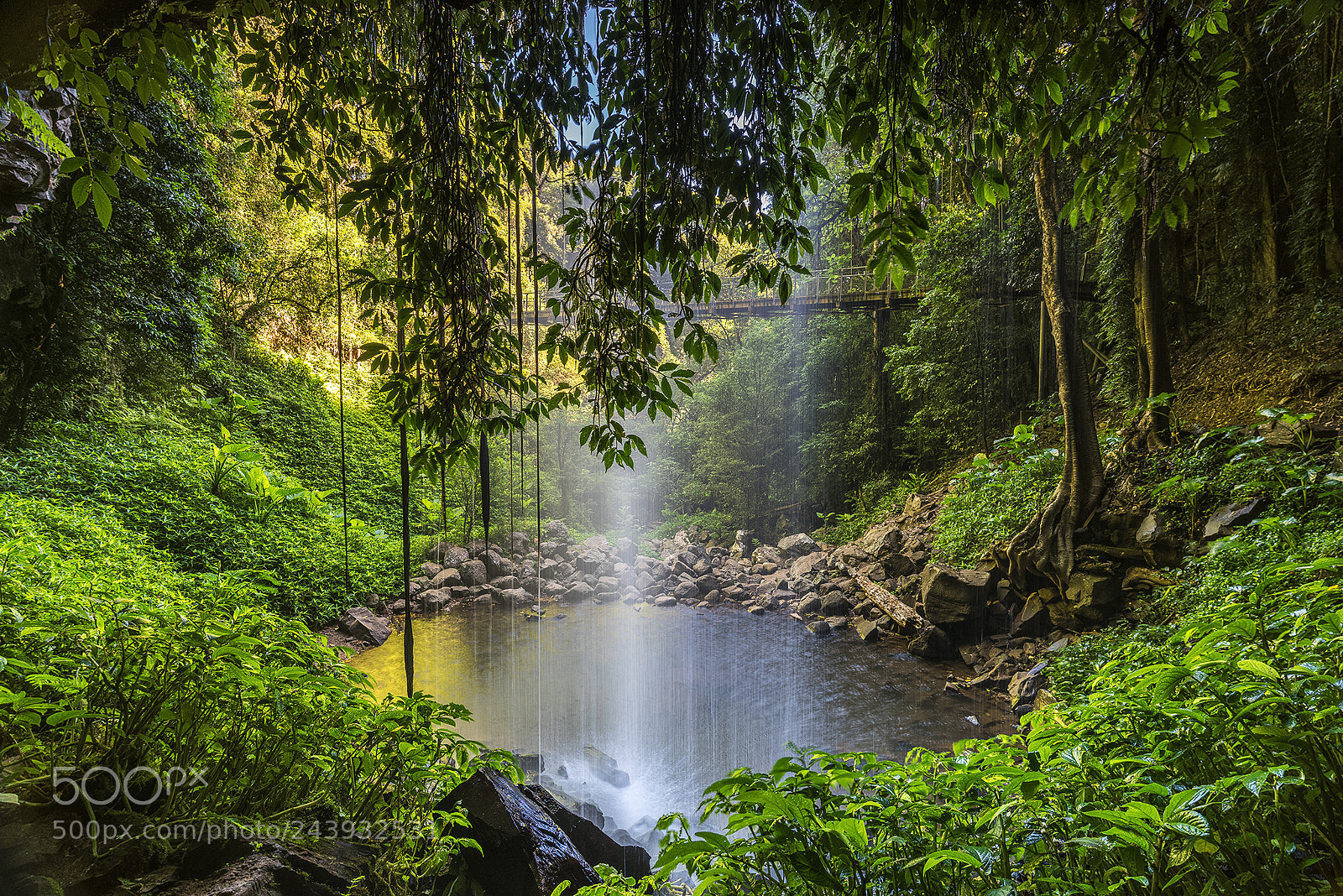 Nikon D810 sample photo. Magical crystal showers falls . photography