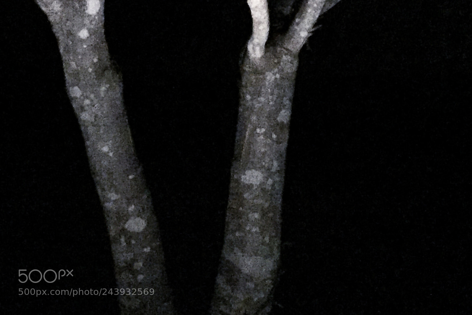 Apple iPhone 6 sample photo. Night photography