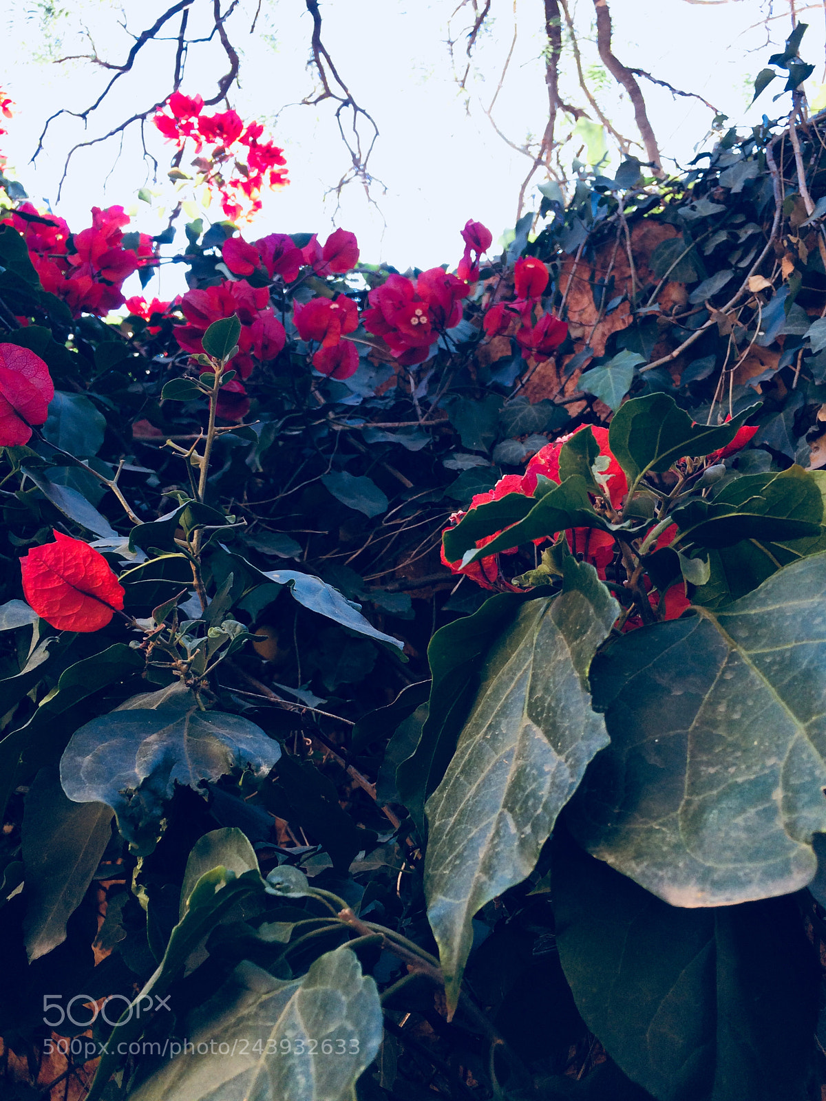 Apple iPhone 5s sample photo. Guanajuato, gto. photography