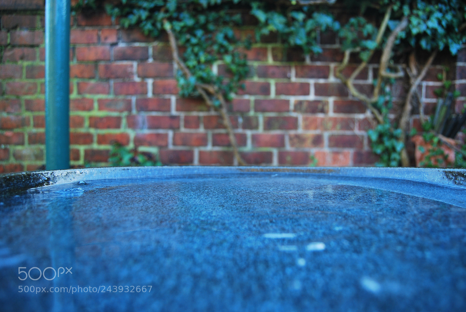 Nikon D60 sample photo. Winter photography