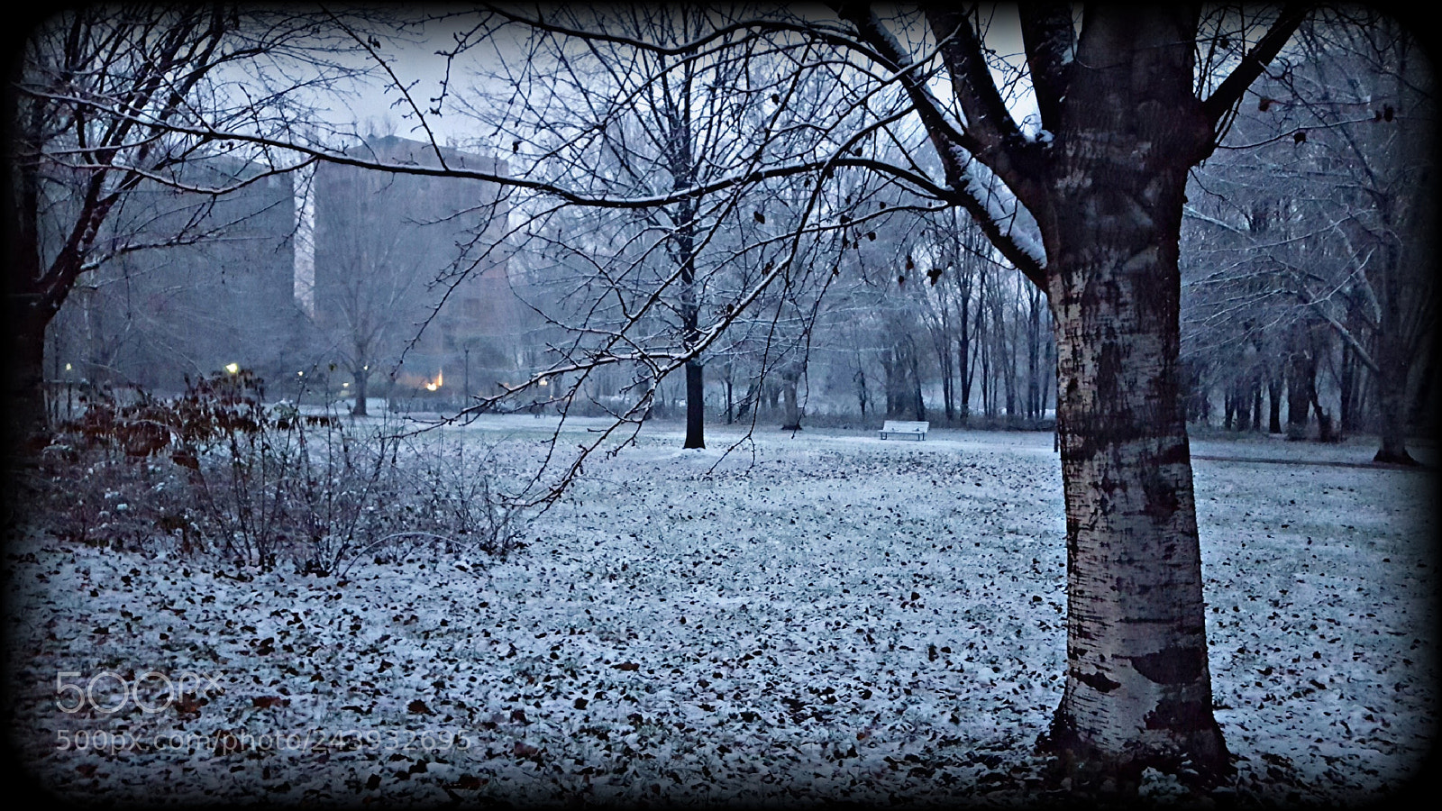 Samsung GALAXY S6 edge sample photo. Untitled photography