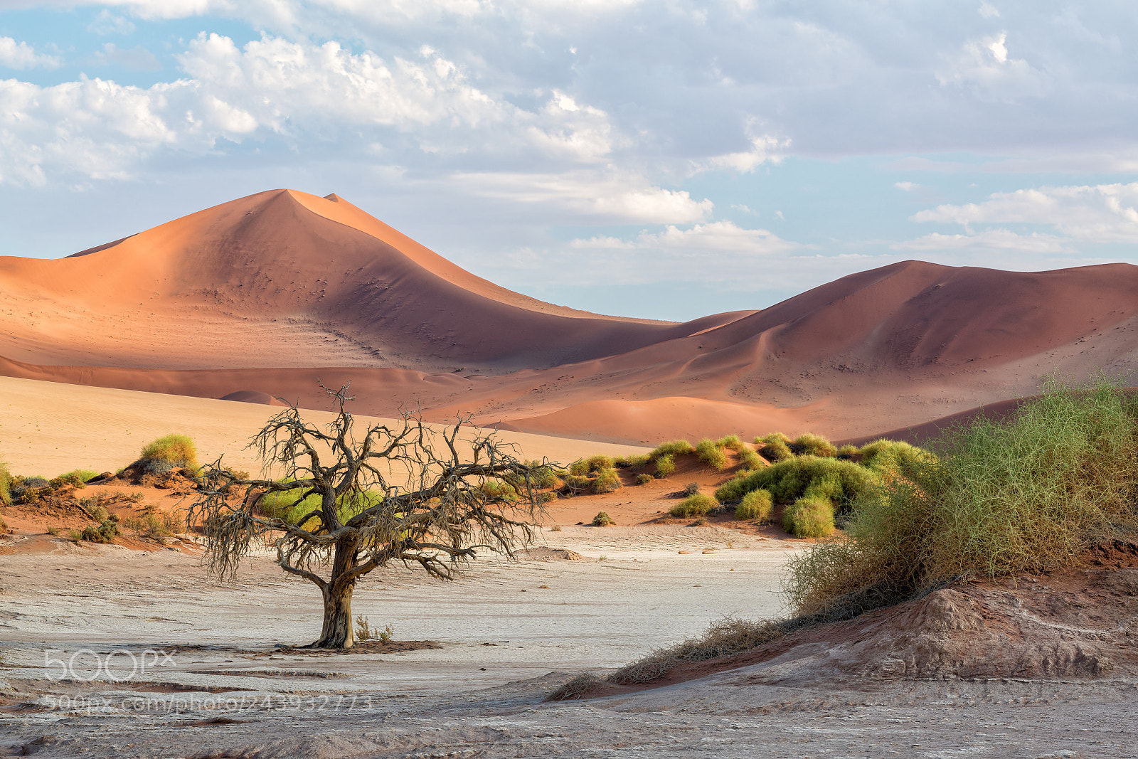 Nikon D850 sample photo. Sossusvlei, namibia photography