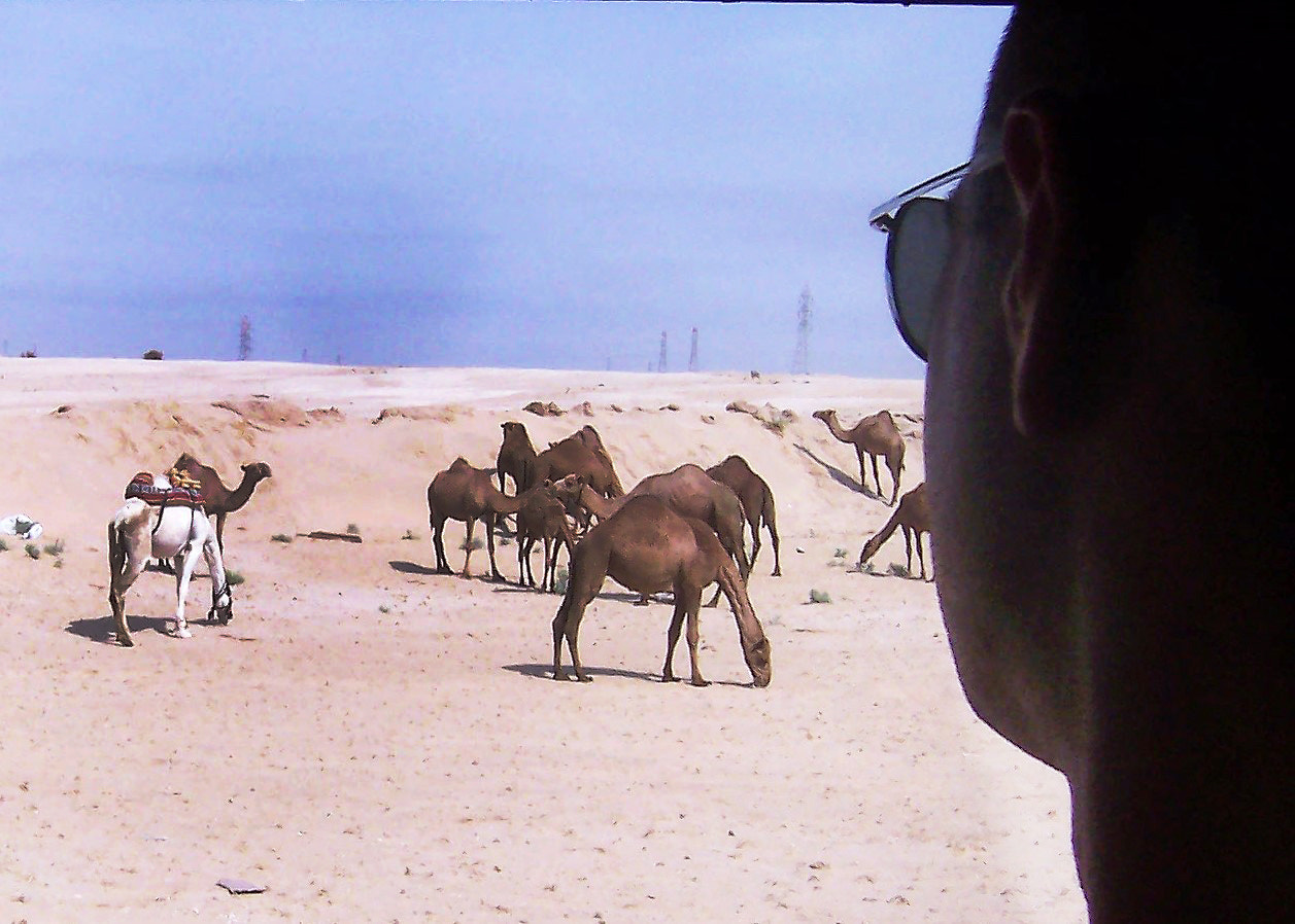 Kodak DX6340 ZOOM DIGITAL CAMERA sample photo. Watchiung the camels photography