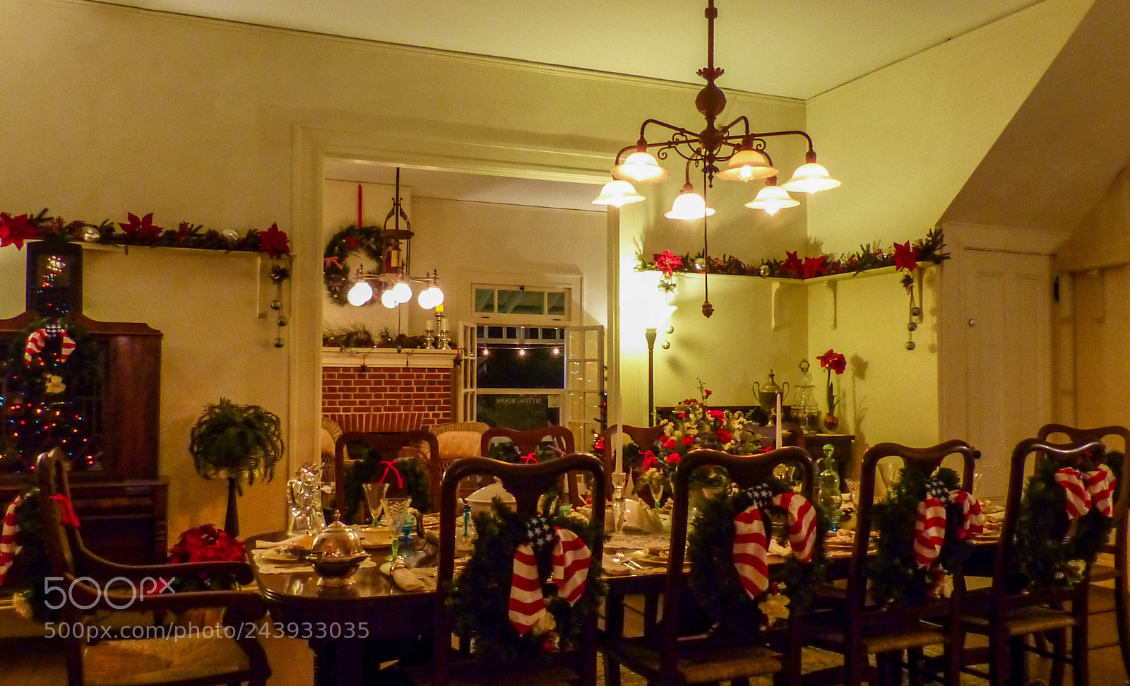 Panasonic Lumix DMC-FZ200 sample photo. Dinner will be served... photography