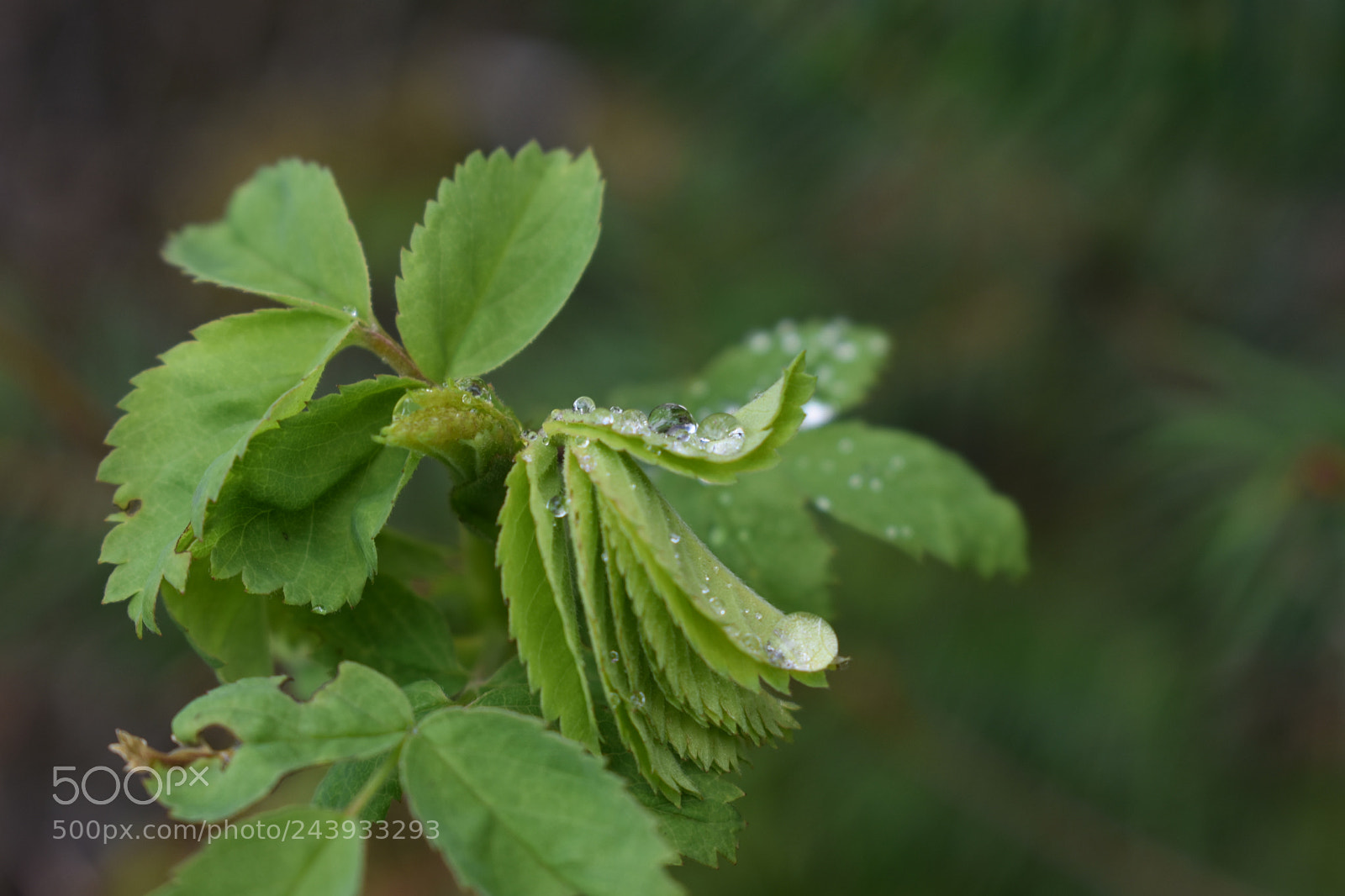 Nikon D3400 sample photo. Nel photography