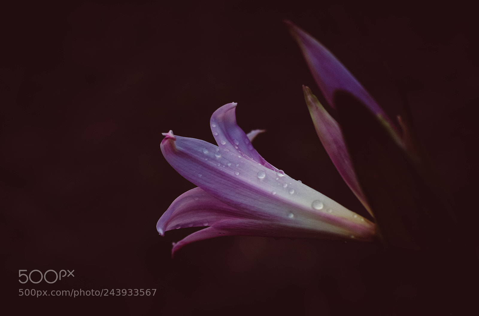 Nikon D7100 sample photo. Simple photography