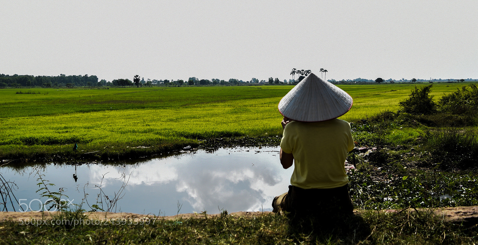 Nikon D5500 sample photo. Untitled photography