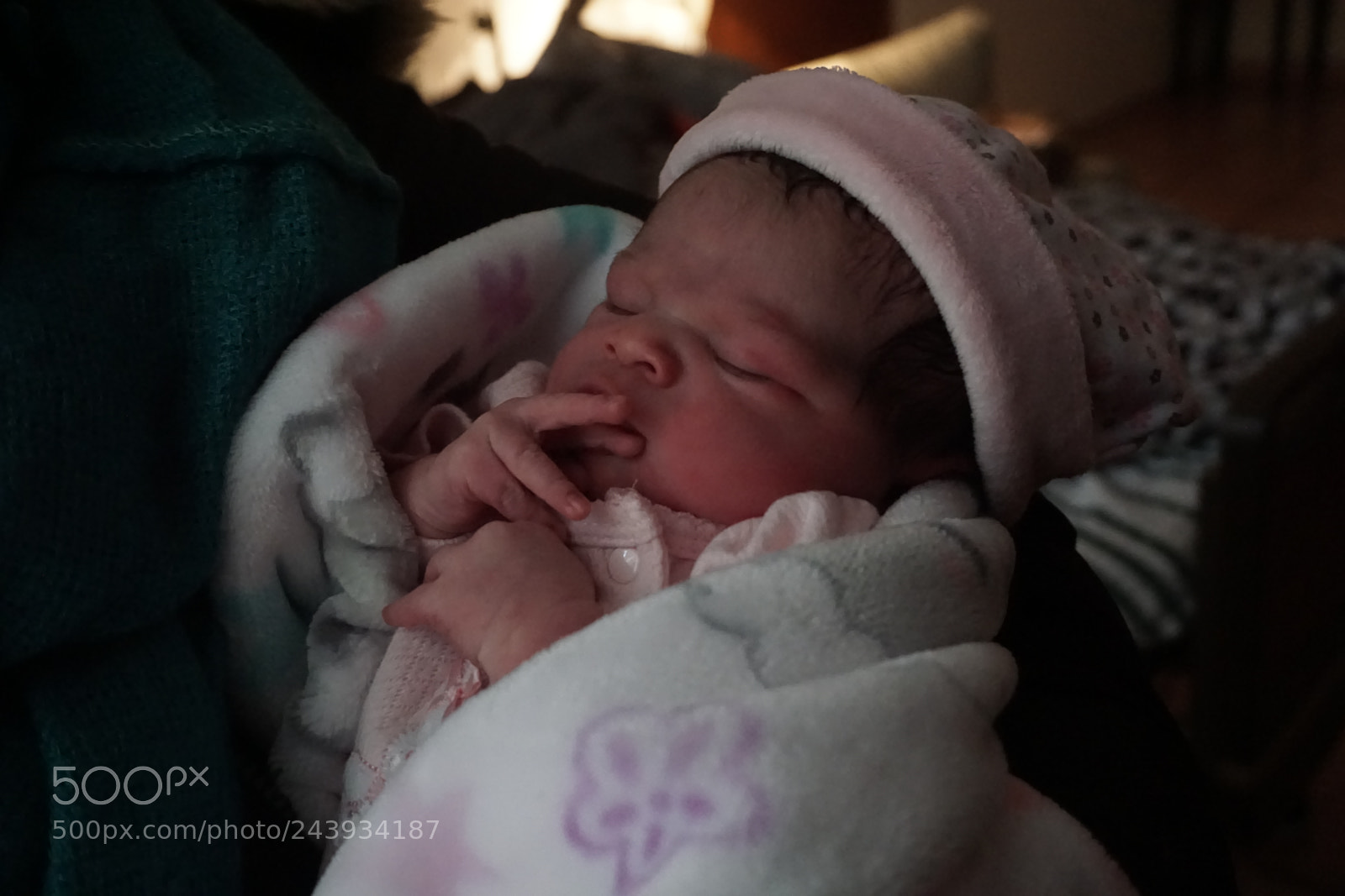 Sony a6000 + Sony E 18-50mm F4-5.6 sample photo. Dsc photography
