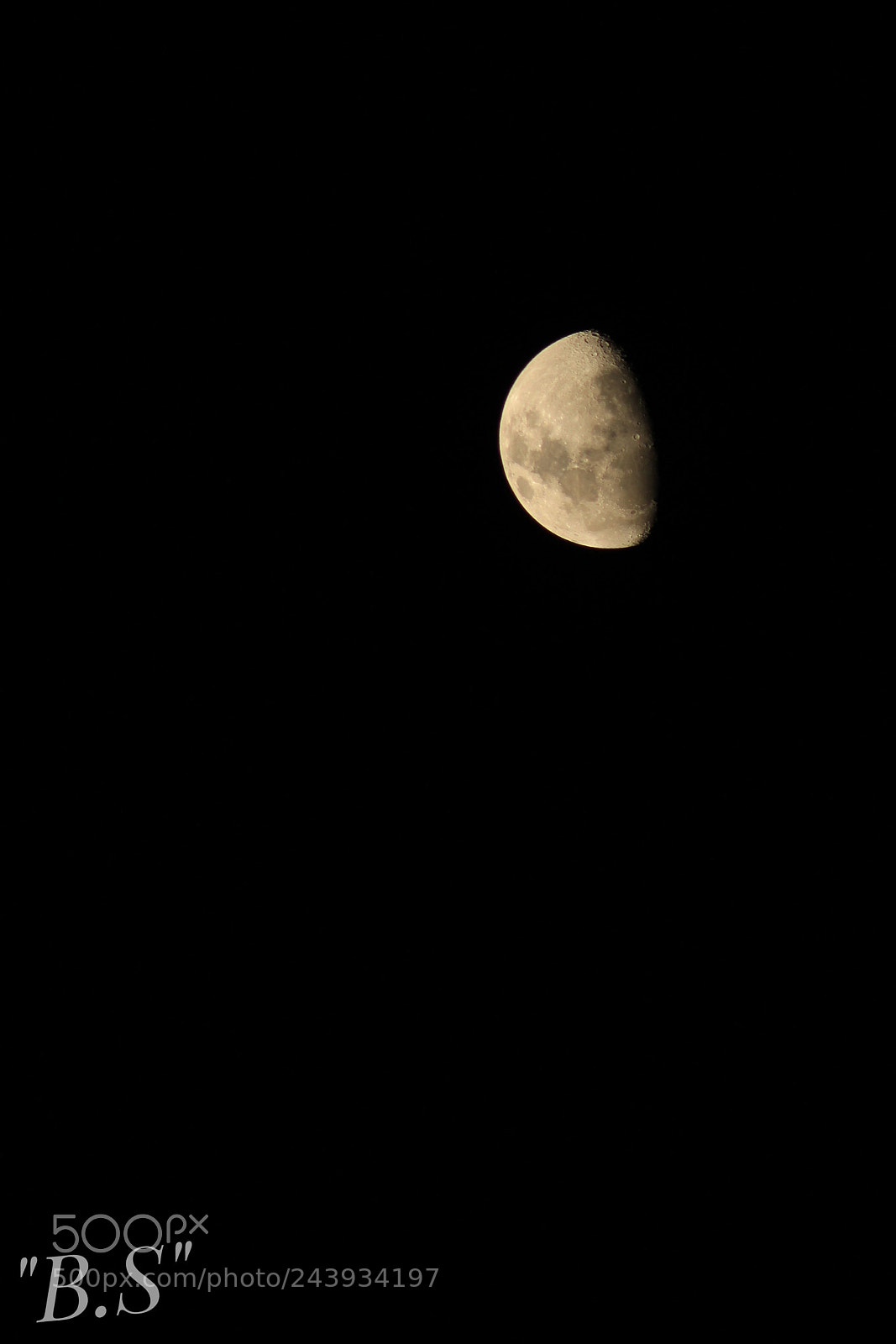 Canon EOS 1300D (EOS Rebel T6 / EOS Kiss X80) sample photo. Untitled photography