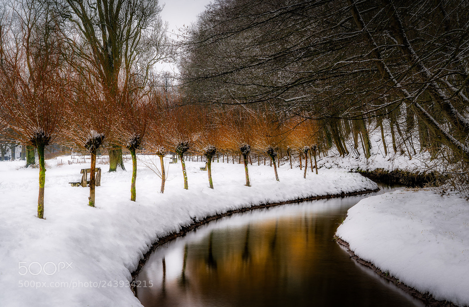 Sony a7R II sample photo. Grandmother's valley winter view photography