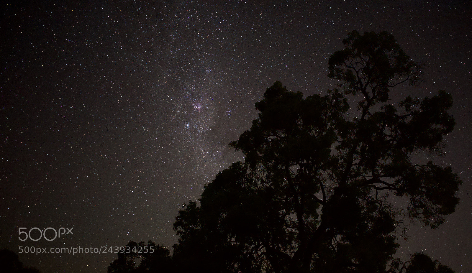 Sony a7 sample photo. Night stars photography
