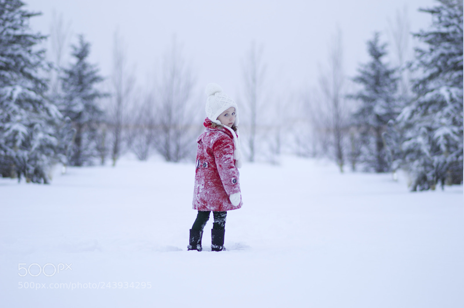Nikon D3200 sample photo. Solivagant (adj.) wandering alone photography