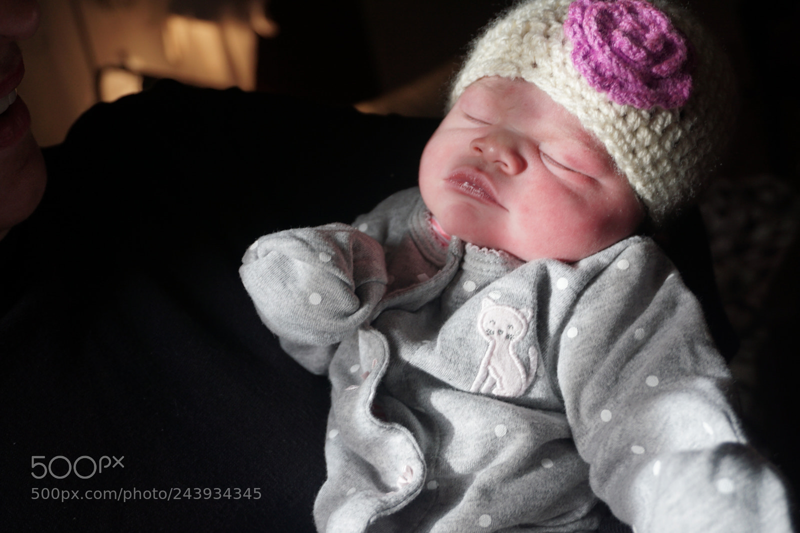 Sony a6000 + Sony E 18-50mm F4-5.6 sample photo. Dsc photography