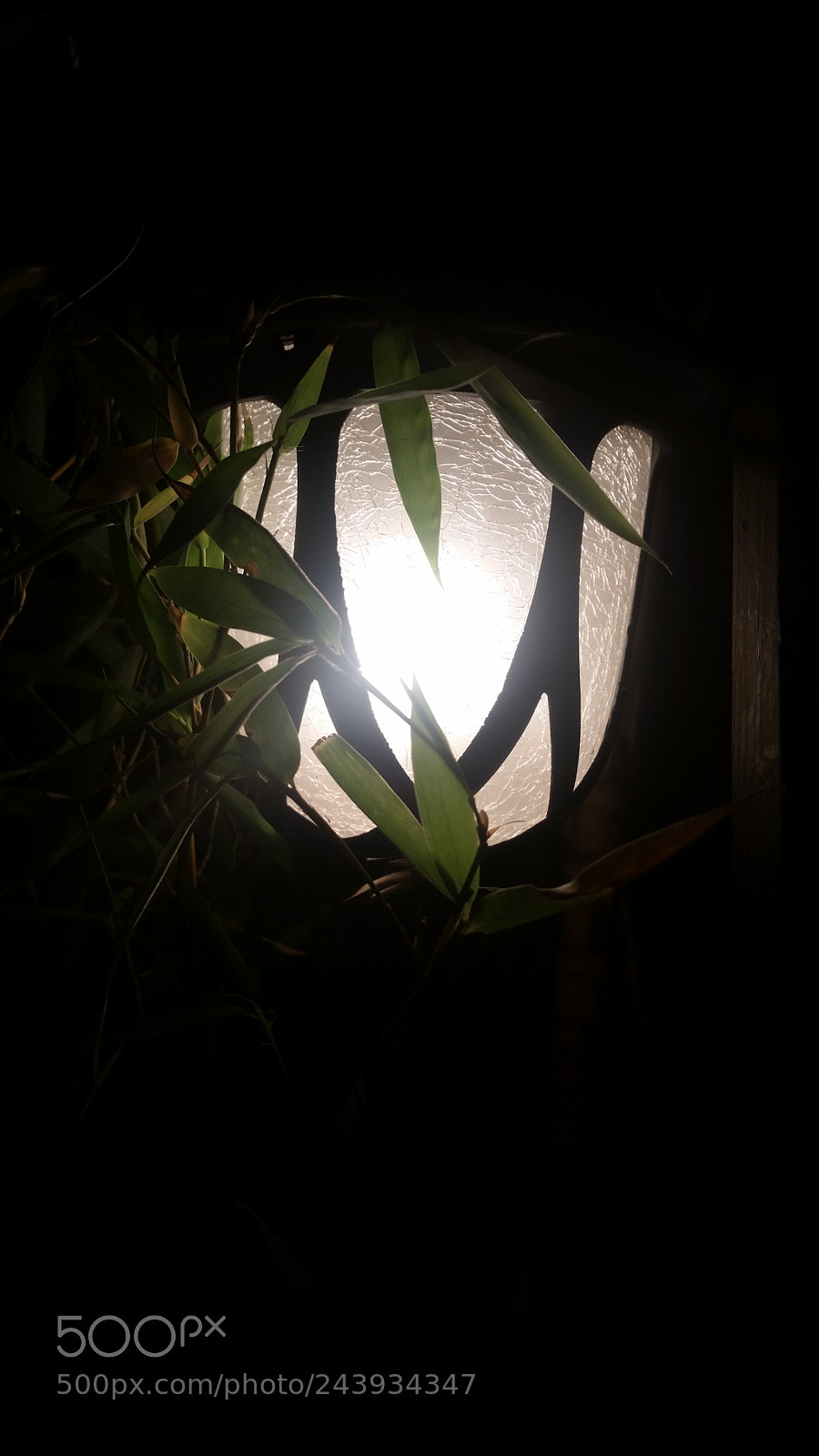 Samsung Galaxy S5 sample photo. Untitled photography