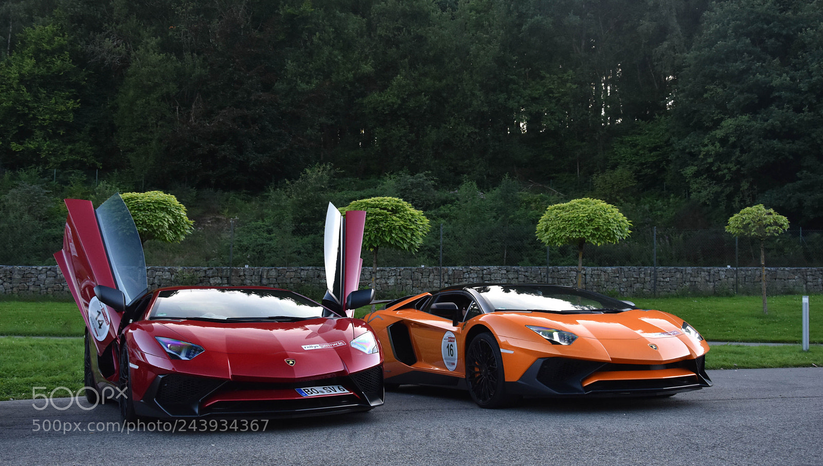 Nikon D5500 sample photo. Standing strong photography