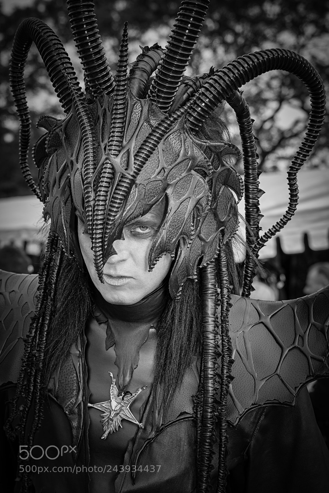 Nikon D800 sample photo. Horned photography
