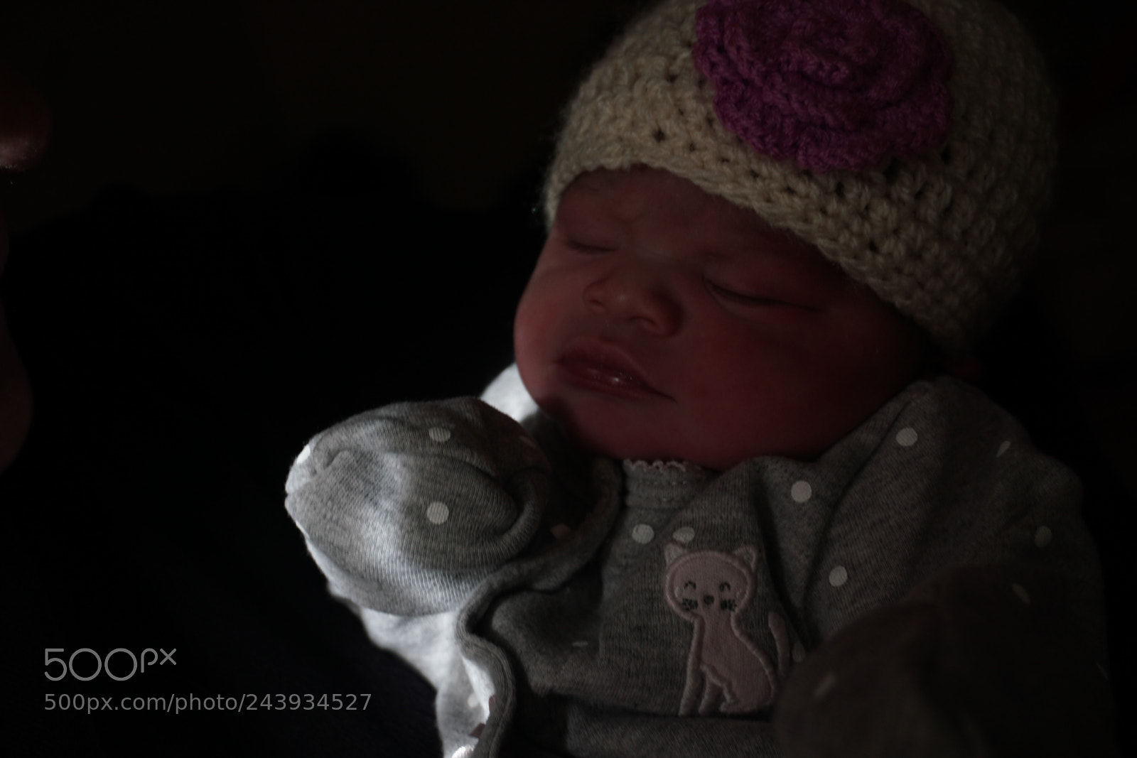 Sony a6000 + Sony E 18-50mm F4-5.6 sample photo. Dsc photography