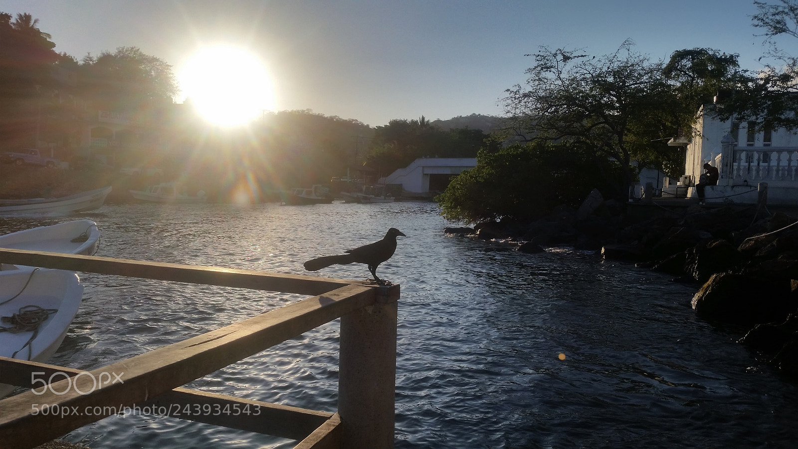 Samsung Galaxy S5 sample photo. Untitled photography