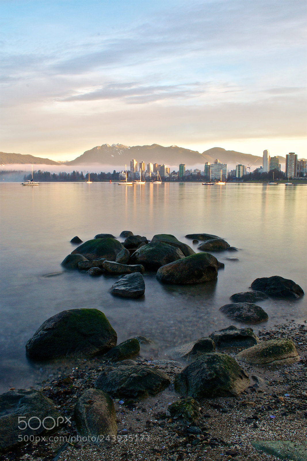 Nikon D3100 sample photo. Morning stroll in kitsilano photography