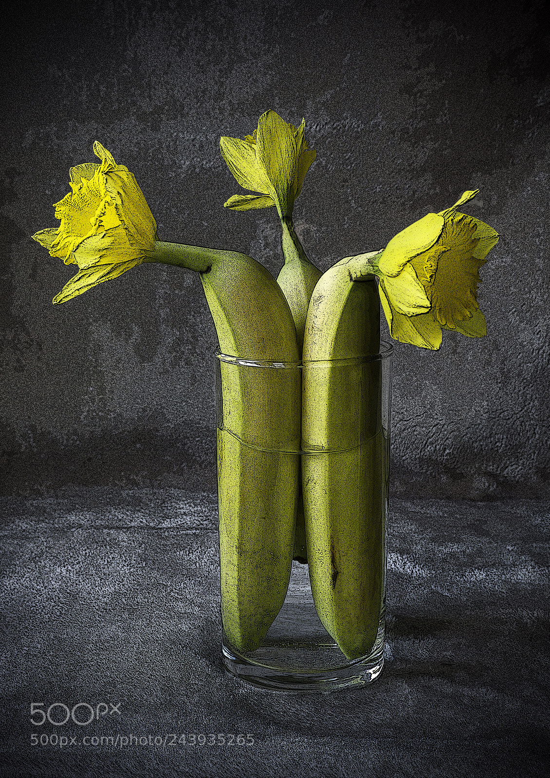 Sony SLT-A65 (SLT-A65V) sample photo. Surreal flowering fruit photography