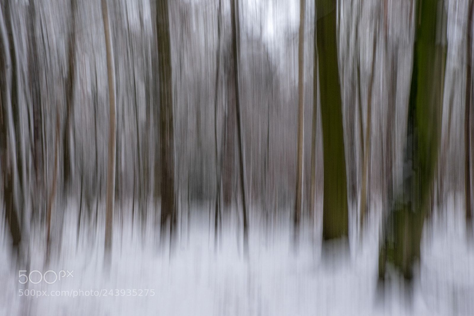 Fujifilm X-T1 sample photo. Winter photography