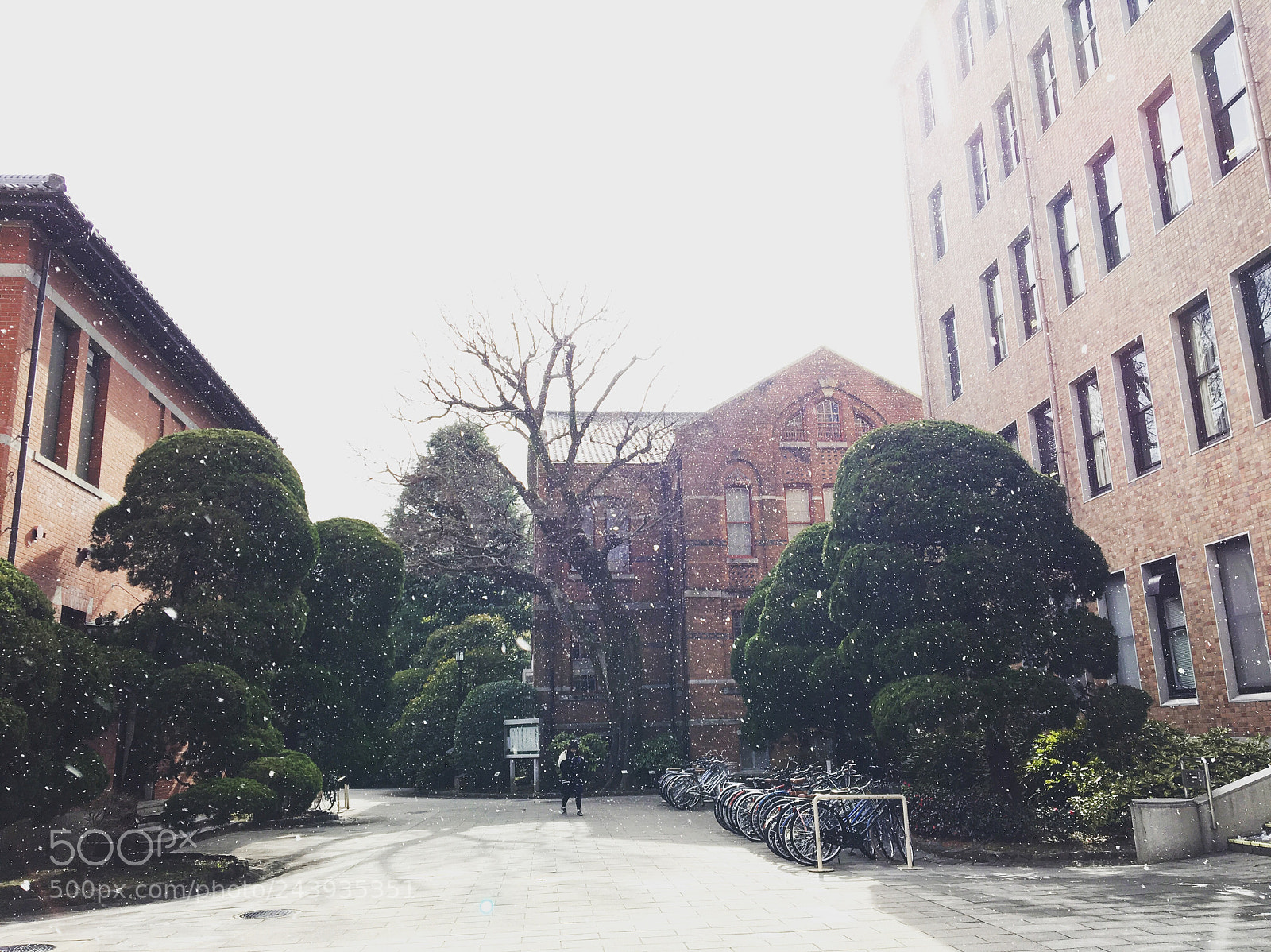 Apple iPhone 6s sample photo. Doshisha university, kyoto, japan. photography