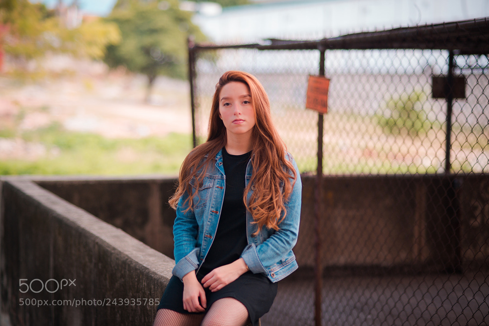 Nikon D800 sample photo. Catalina photography