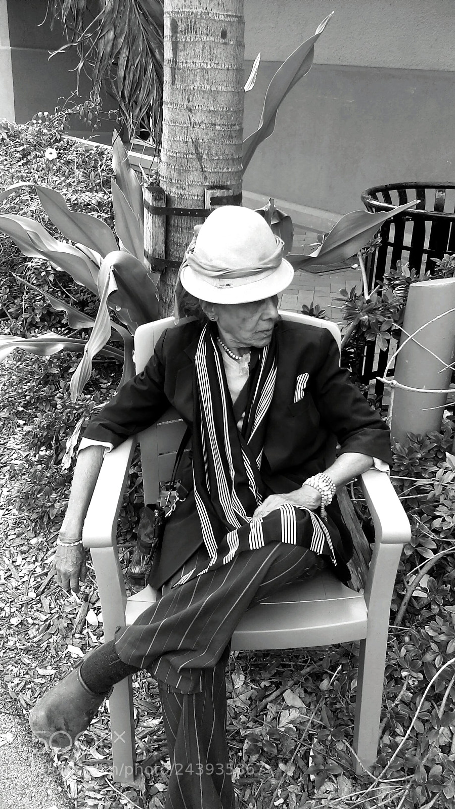 HTC DESRIE D530 sample photo. Mystery woman (zebra prada) photography