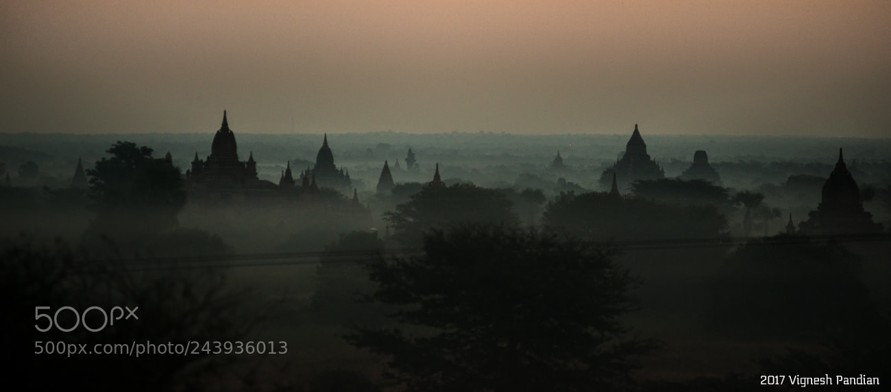 Nikon D800 sample photo. Sunrise time at bagan photography