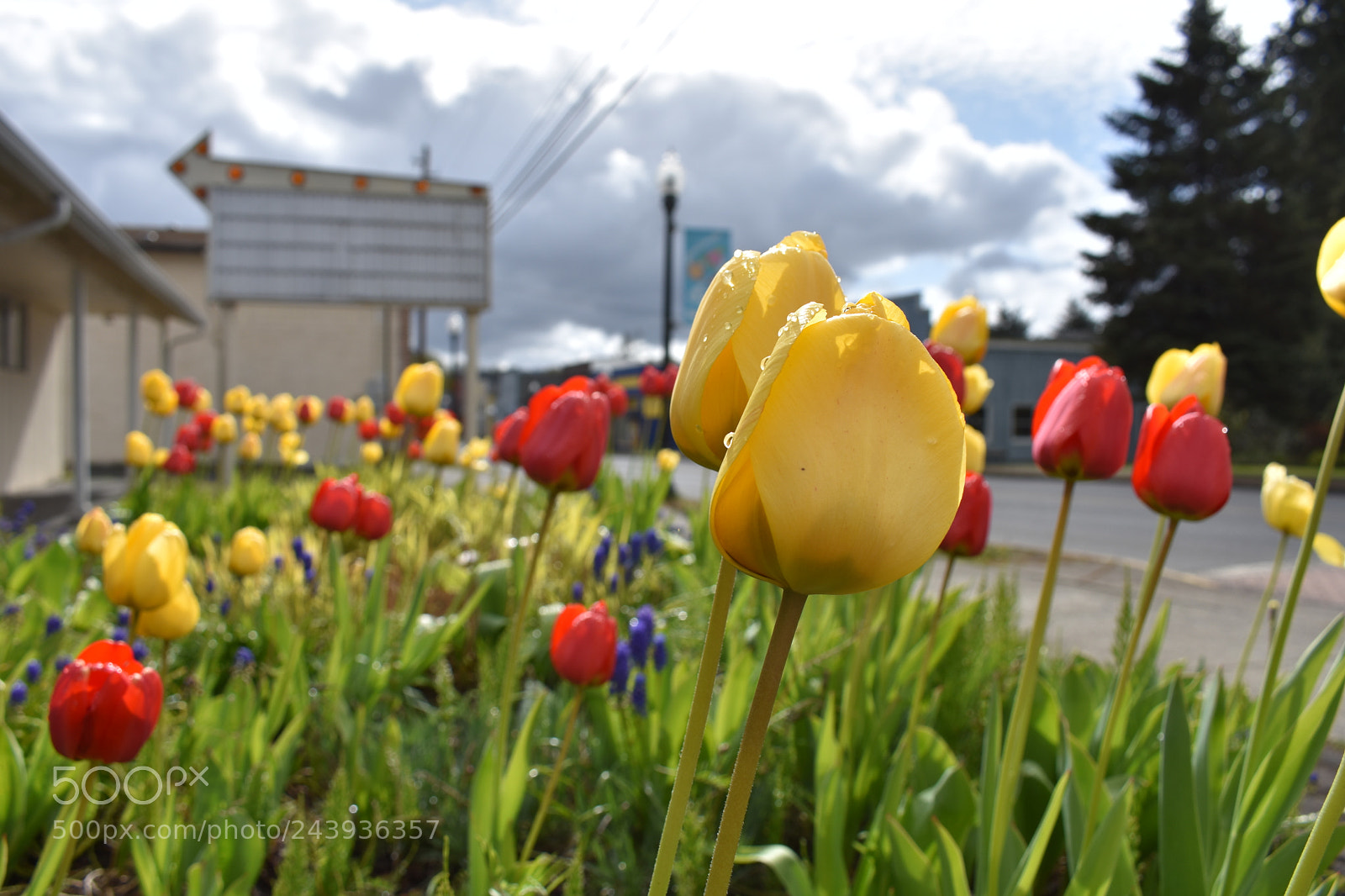 Nikon D3400 sample photo. Nel photography