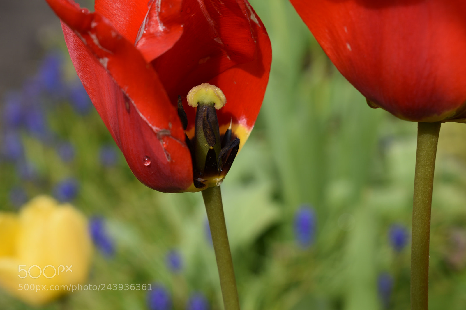 Nikon D3400 sample photo. Nel photography