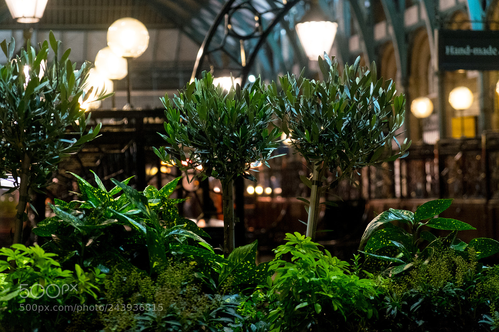 Fujifilm X-T10 sample photo. Garden in covent garden photography