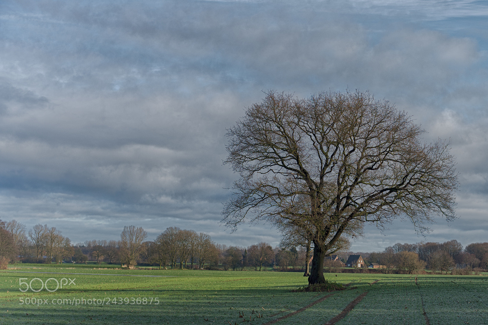 Nikon D600 sample photo. Niederrhein photography