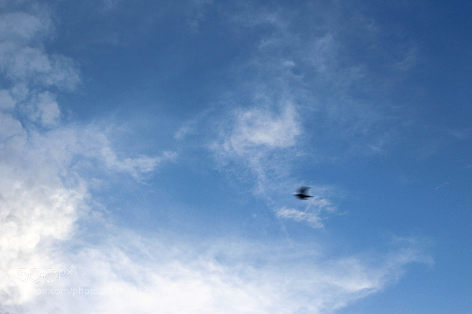 Canon EOS 700D (EOS Rebel T5i / EOS Kiss X7i) sample photo. Pressa photography