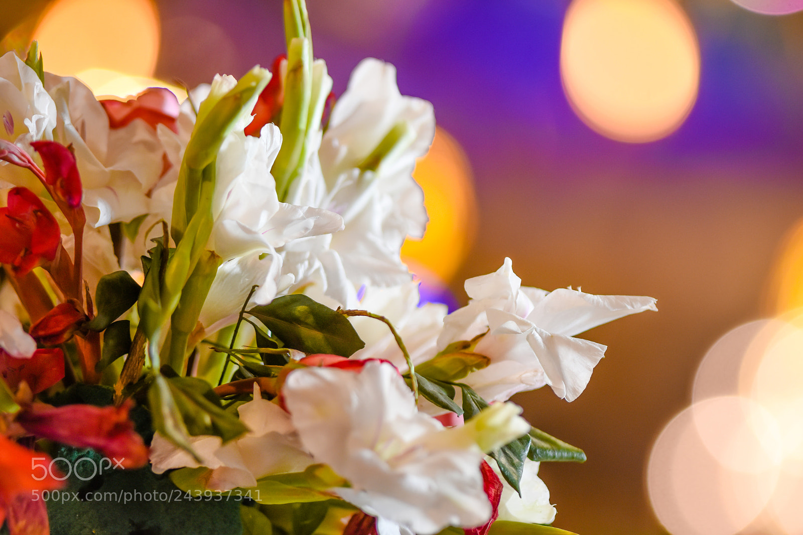 Nikon D7200 sample photo. Flowers photography