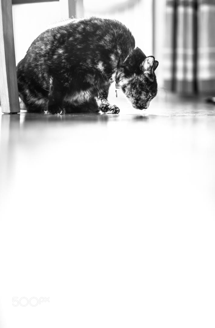 Nikon D810 sample photo. Smelling photography