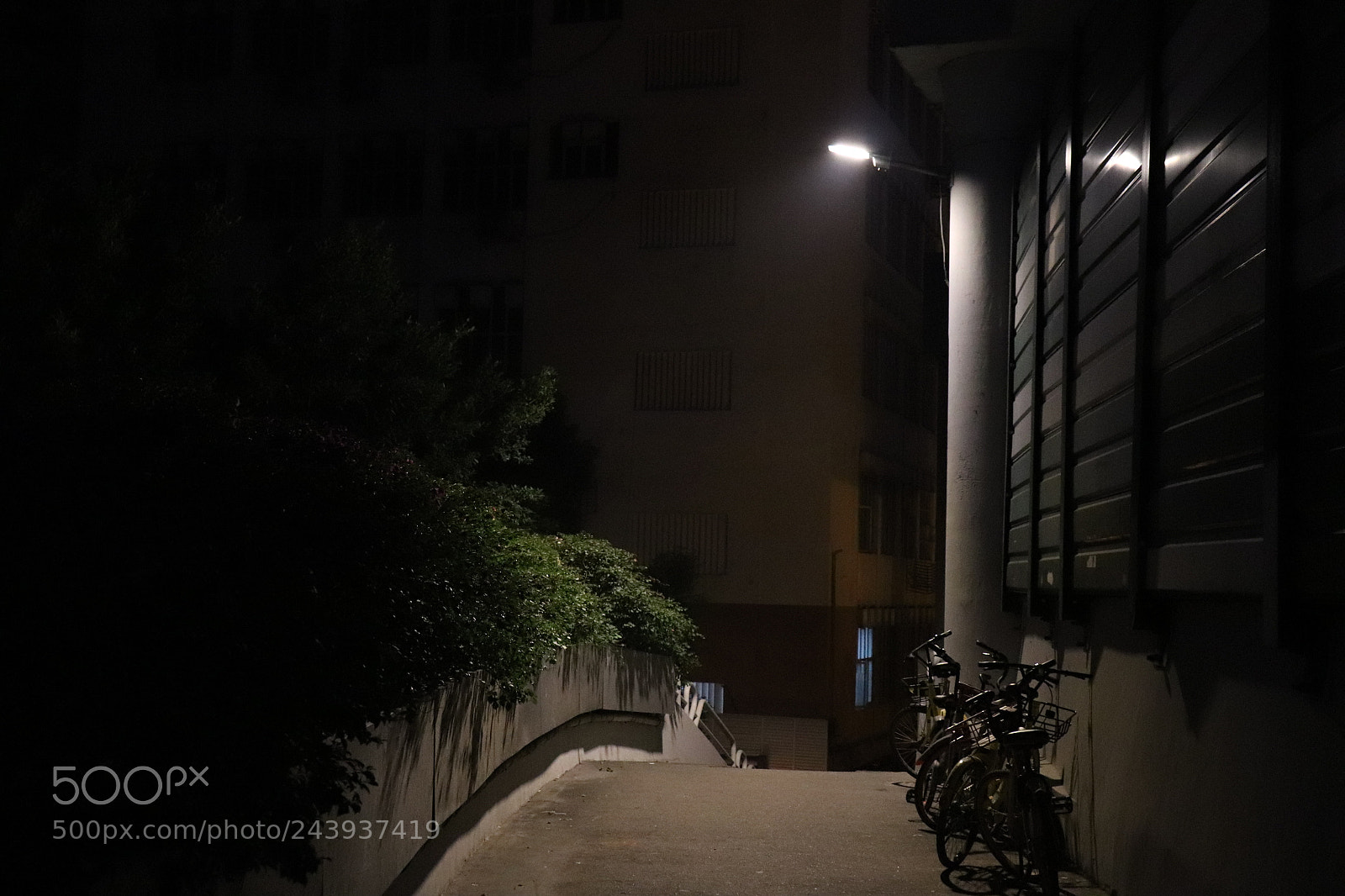 Canon EOS 800D (EOS Rebel T7i / EOS Kiss X9i) sample photo. Untitled photography