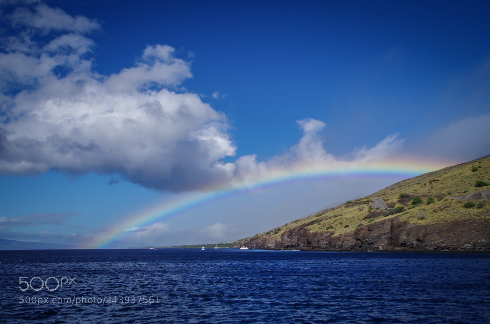 Pentax K-30 sample photo. Untitled photography
