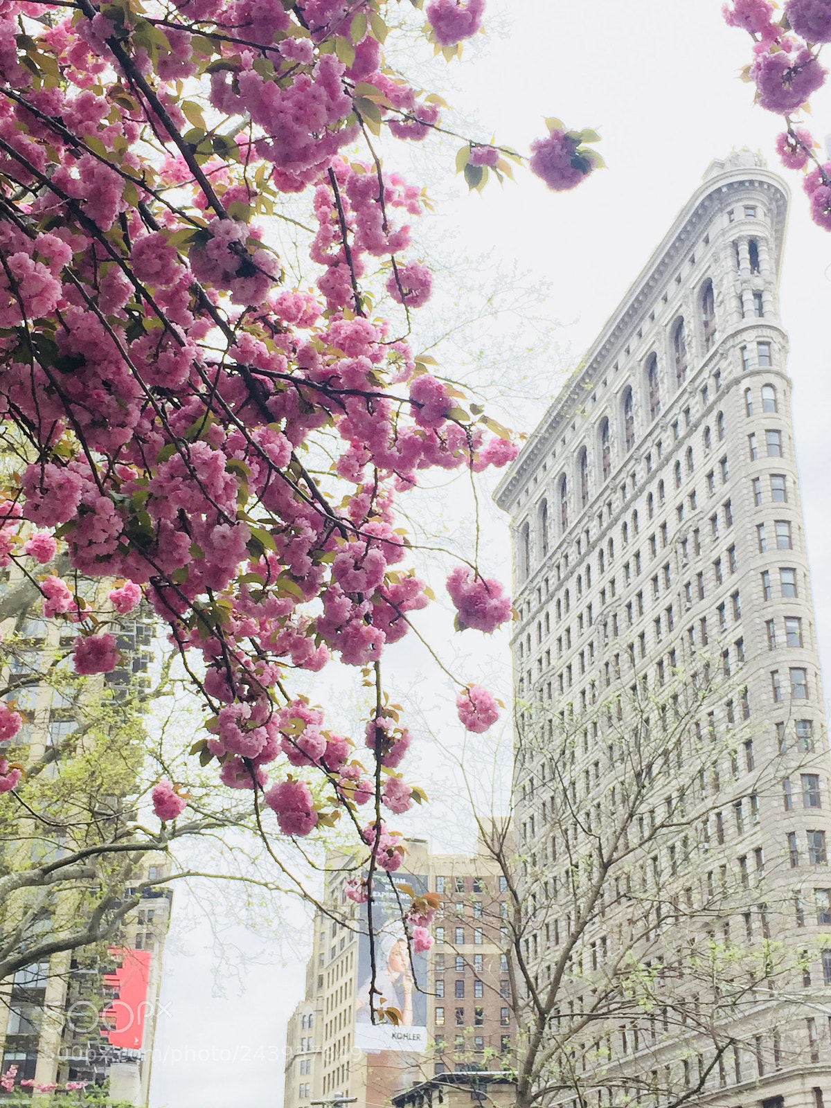 Apple iPhone 6 sample photo. Flatiron building ny photography