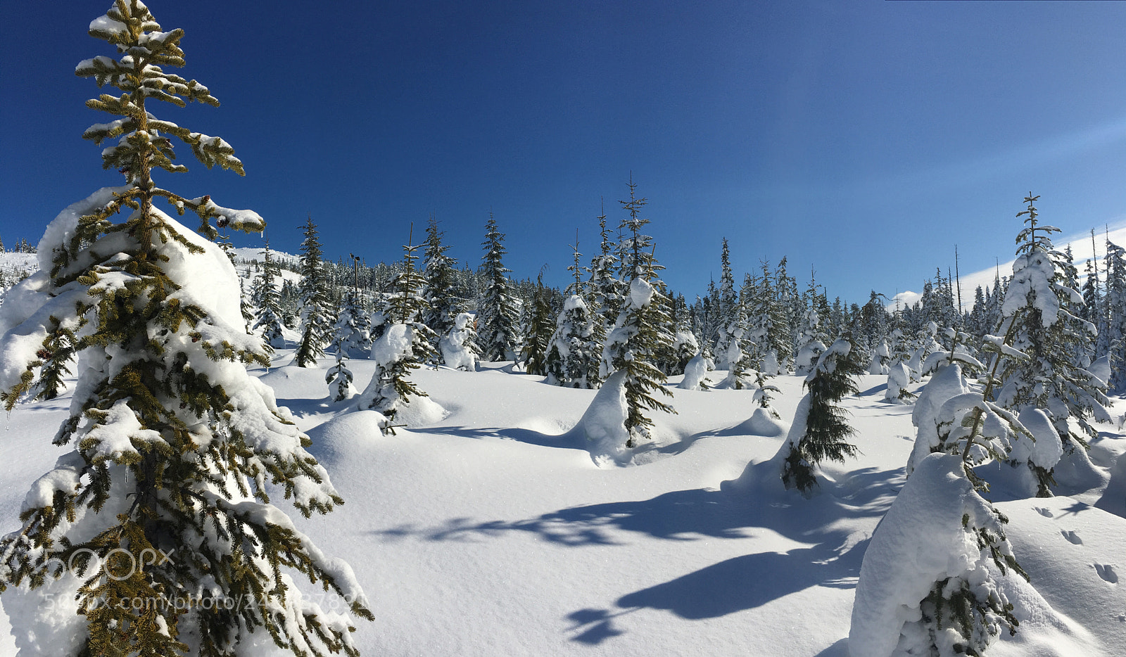 Apple iPhone 6s sample photo. Mount washington alpine ski photography
