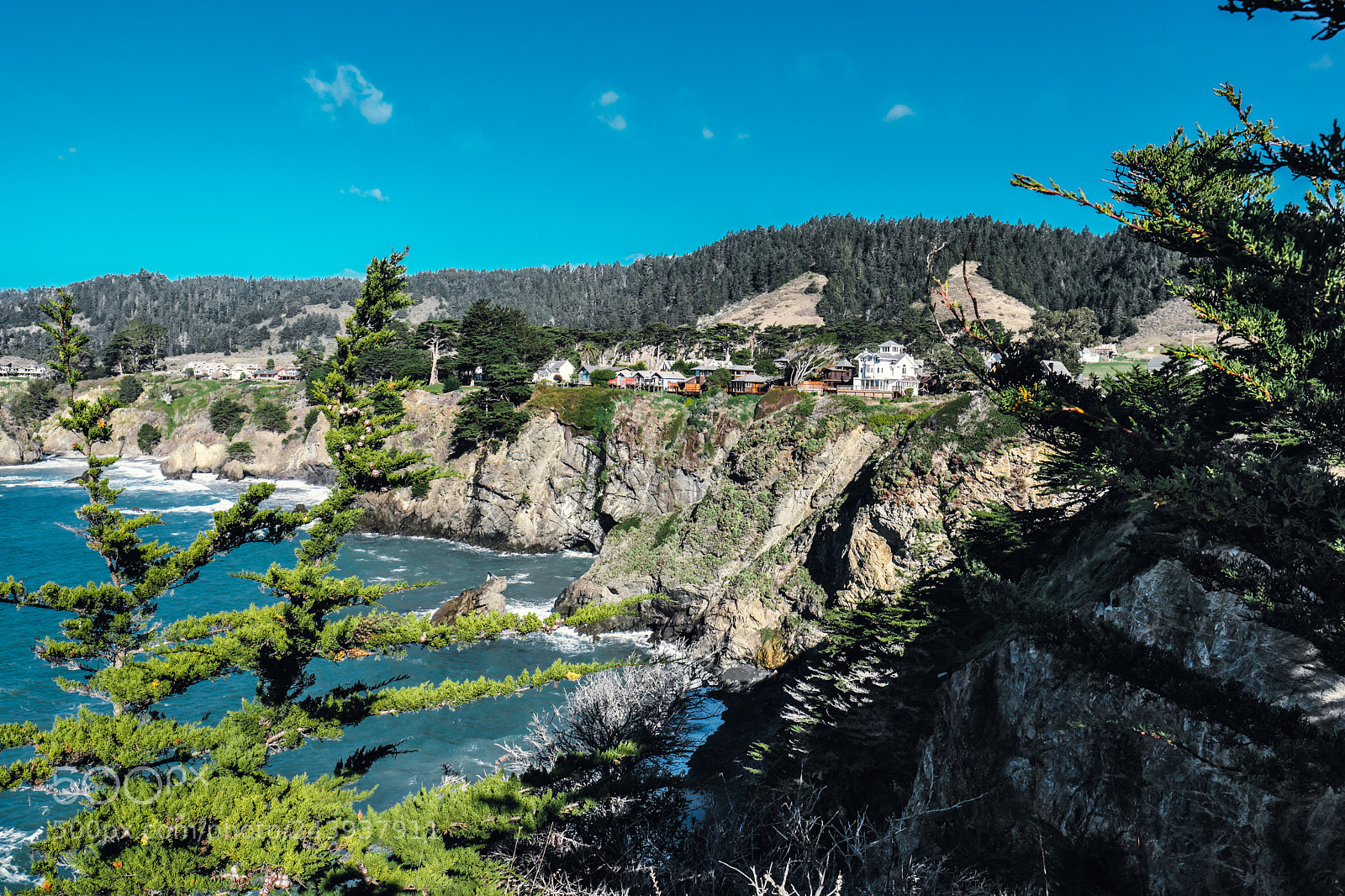 Fujifilm X-Pro2 sample photo. Elk ca photography