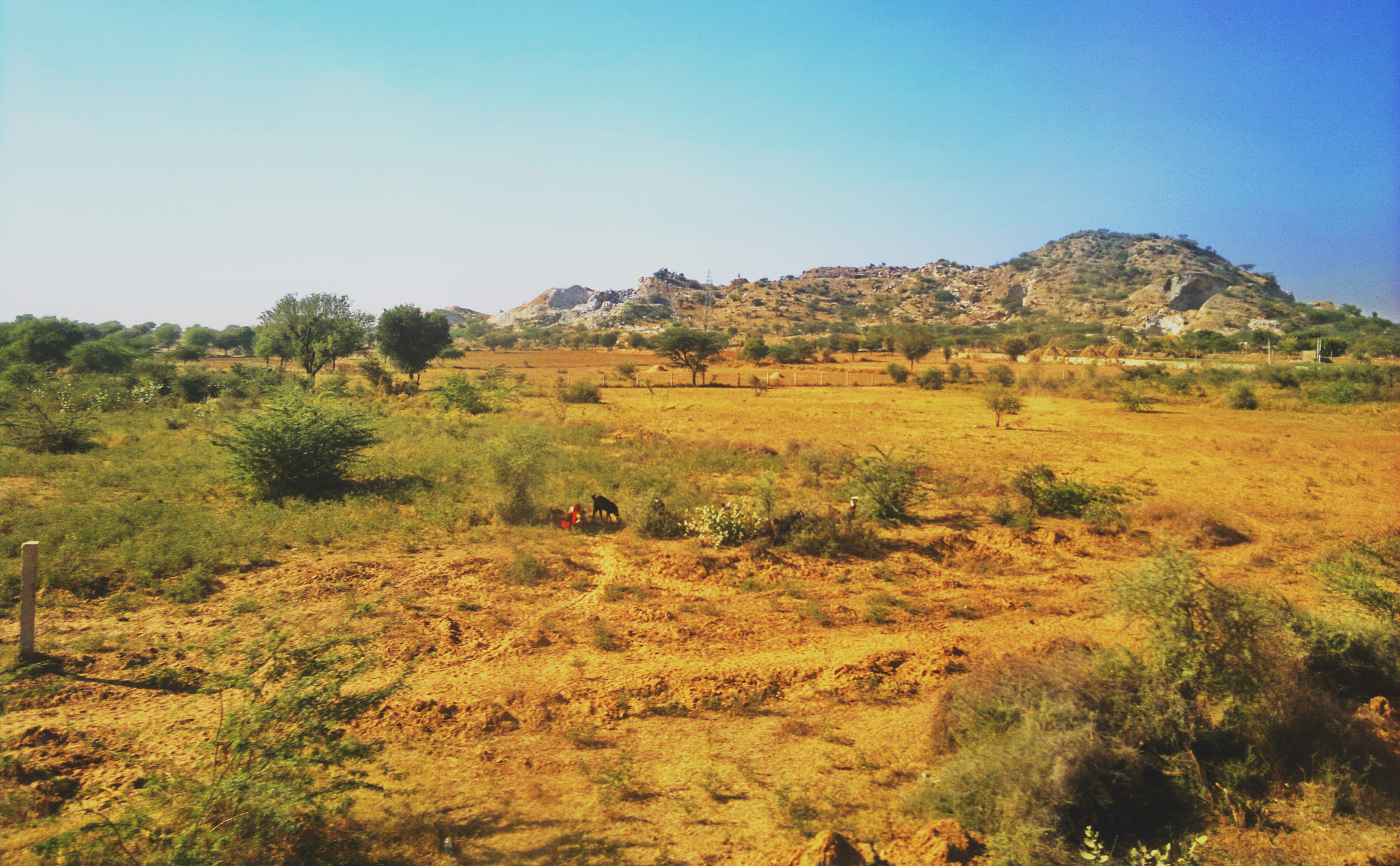 Nokia N8-00 sample photo. () photography