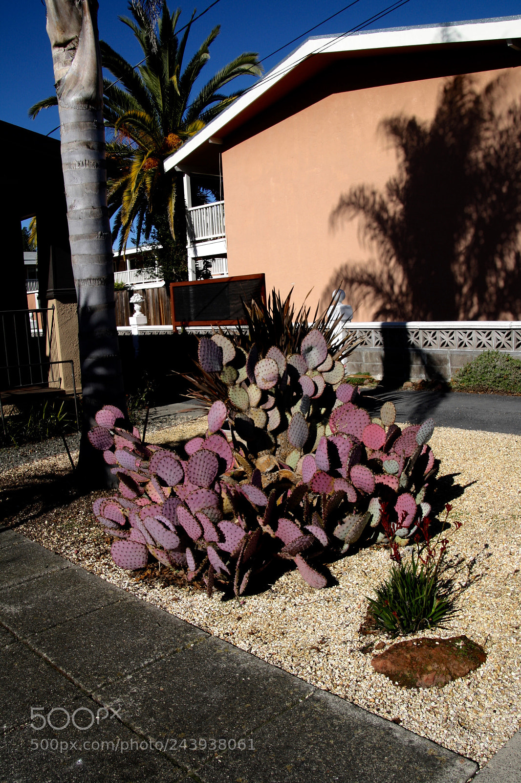 Canon EOS 1000D (EOS Digital Rebel XS / EOS Kiss F) sample photo. Shadows photography