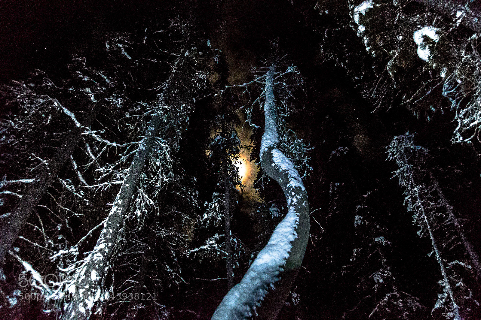 Canon EOS-1D X sample photo. Moon walk photography