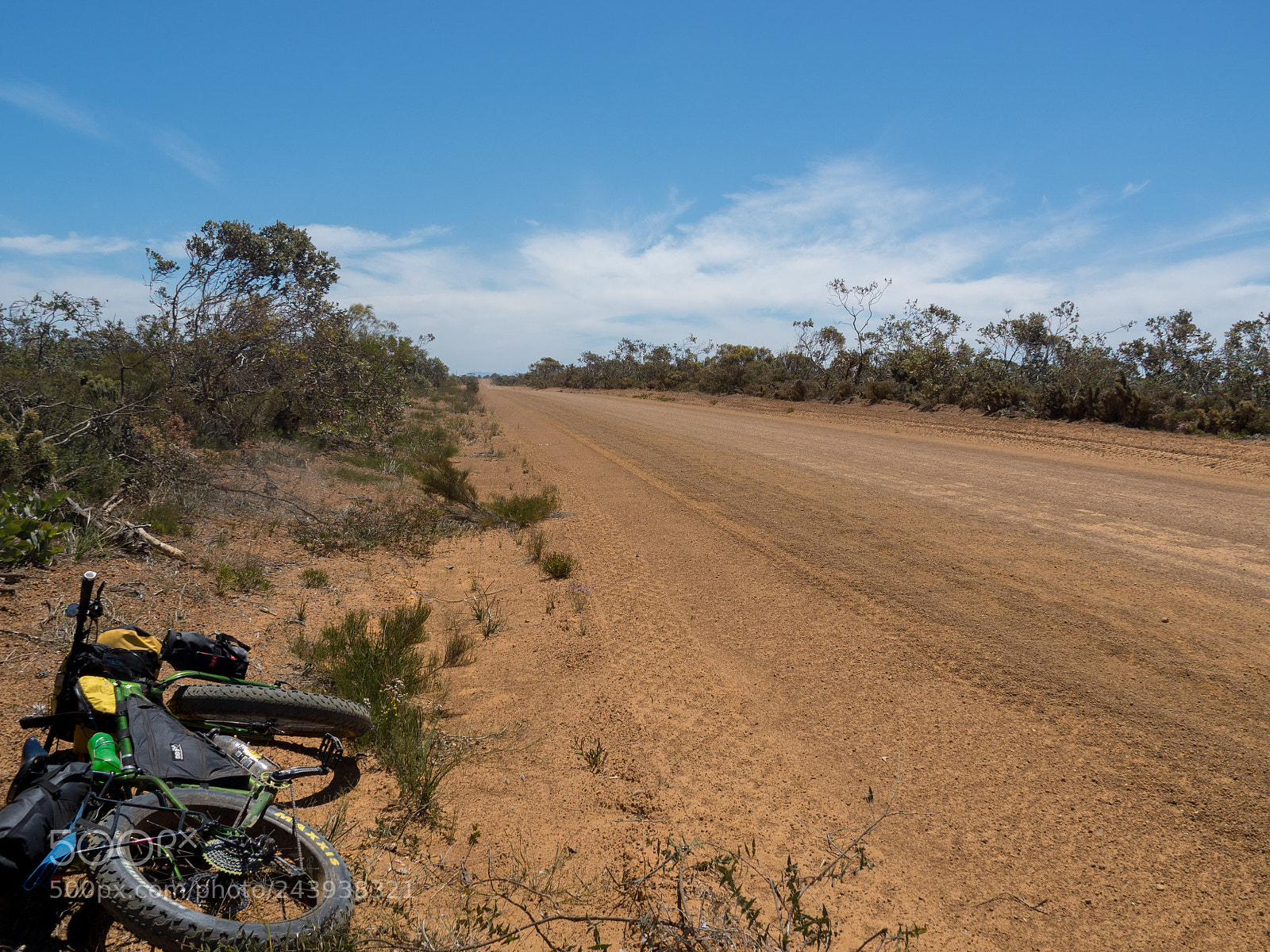 Olympus OM-D E-M5 II sample photo. Detouring down springdale road photography