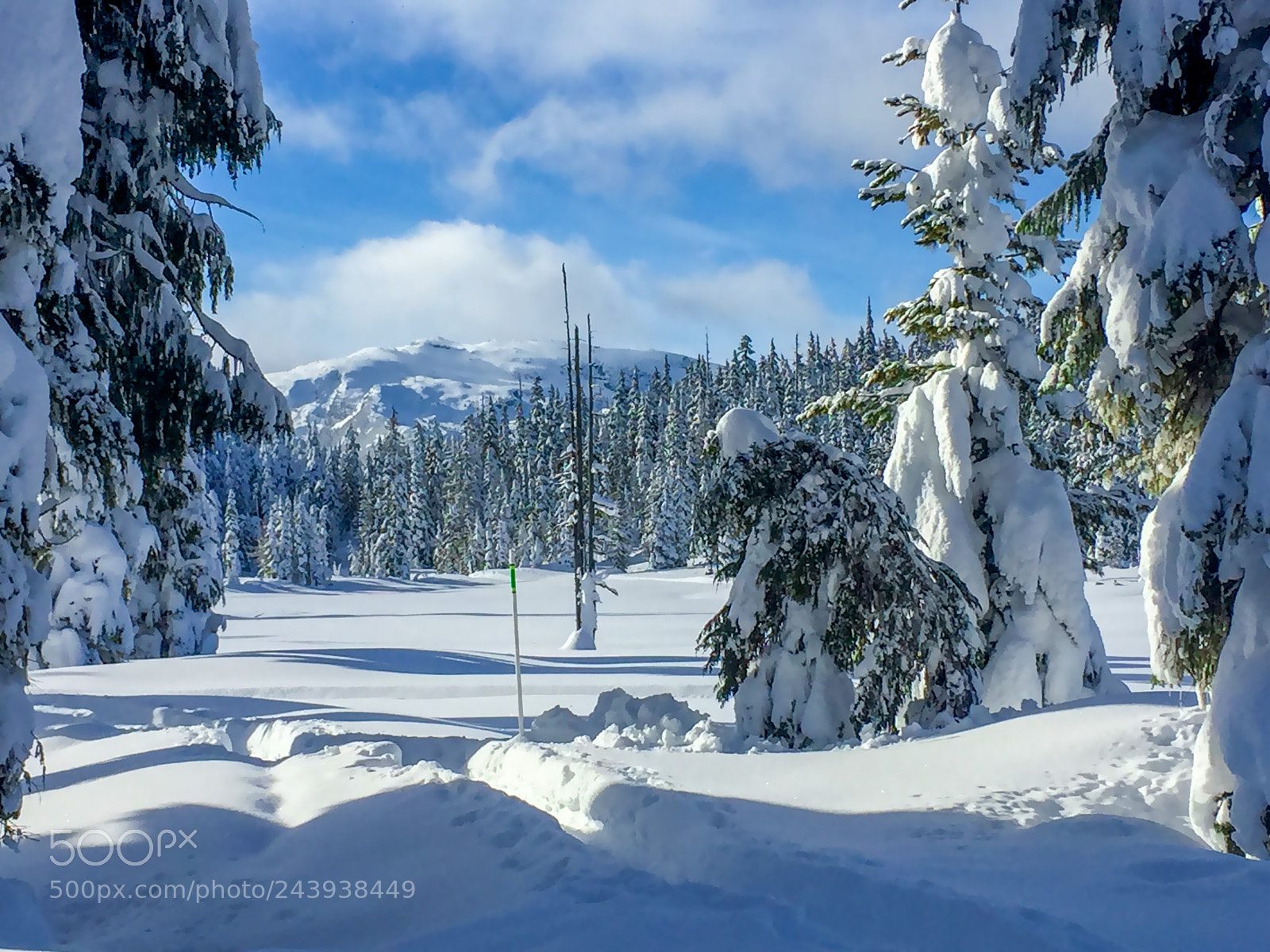 Apple iPhone 6 sample photo. Mount washington alpine ski photography