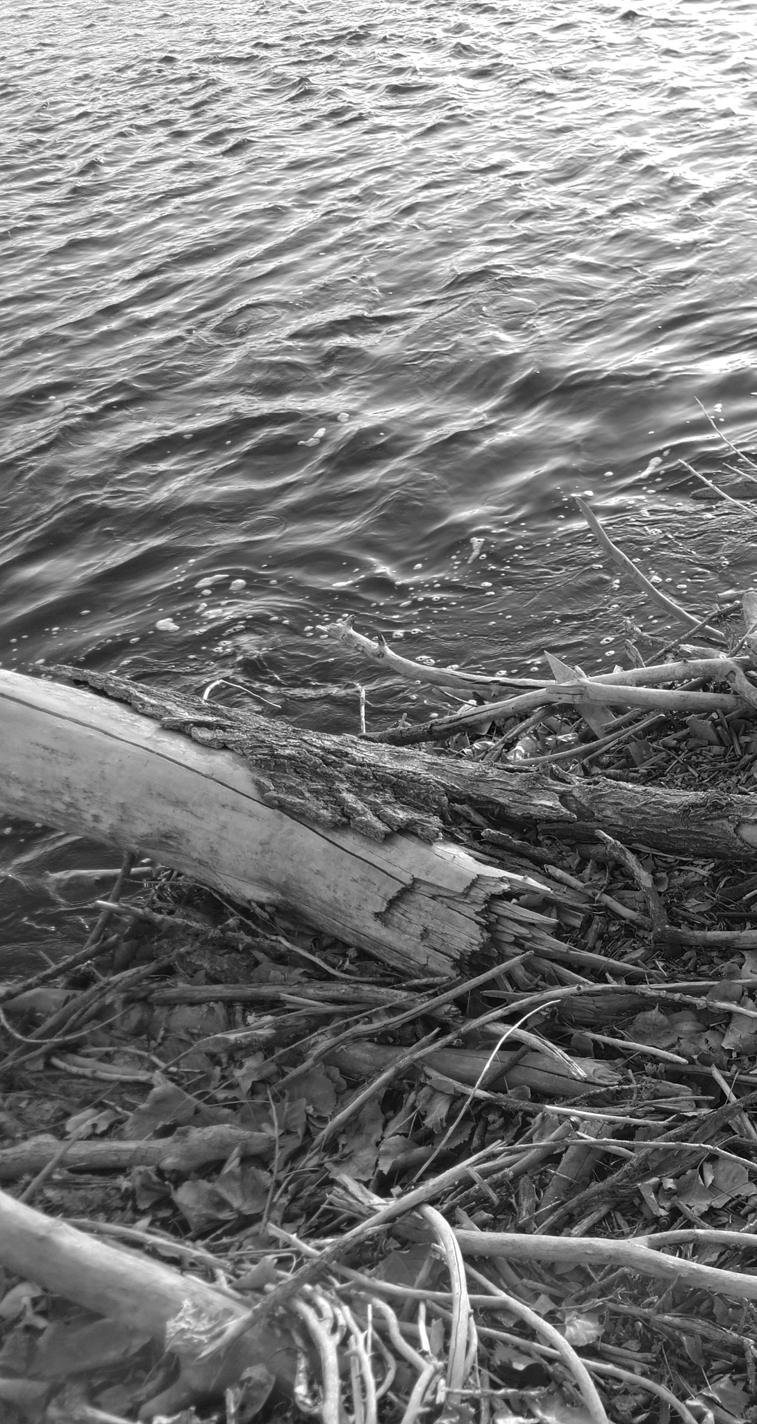 Motorola Moto Z (2) sample photo. The river boy photography