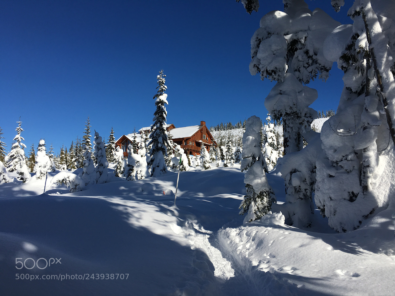 Apple iPhone 6s sample photo. Mount washington alpine ski photography